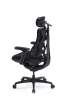 LiberNovo Omni SE Dynamická Ergonomická Židle Obsidian Black 48cm