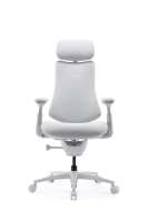 LiberNovo Omni Pro Dynamická Ergonomická Židle Glacier 48cm